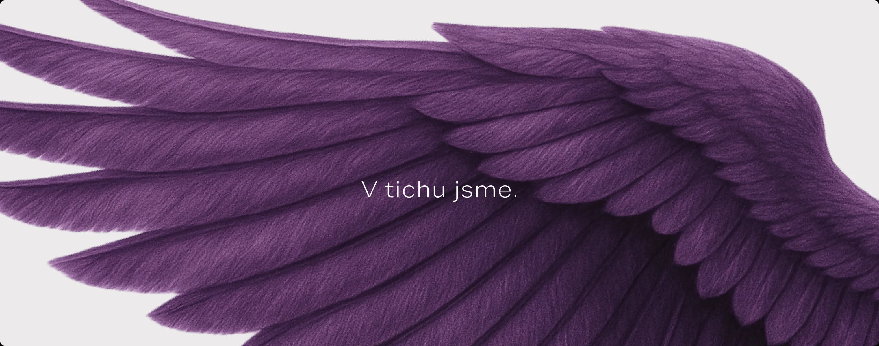 Křídlo s claimem „V tichu jsme.“